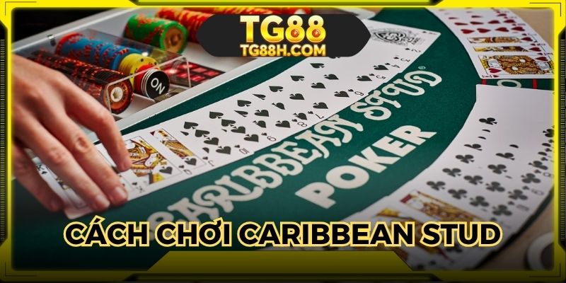 Hướng dẫn quy tắc khi tham gia vào game Caribbean Stud