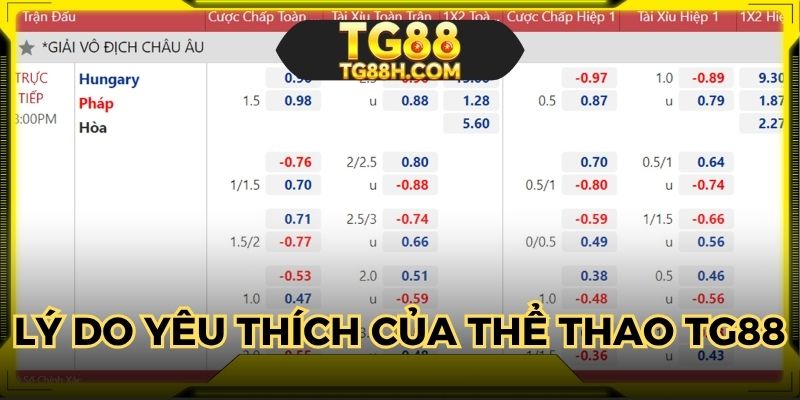Lý do thể thao TG88 nhận được sự yêu thích lớn