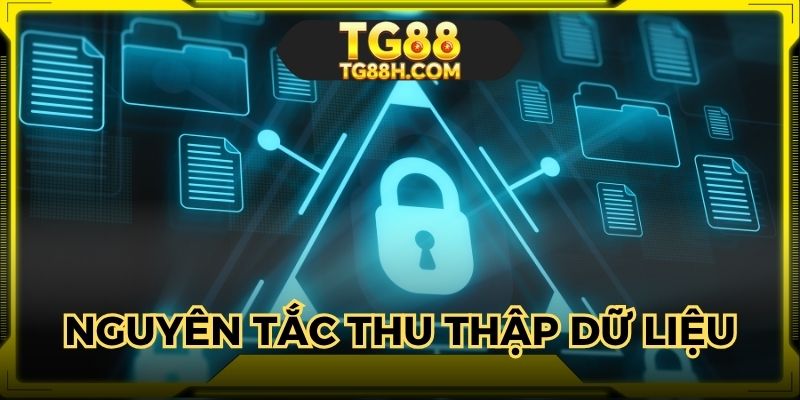 Nguyên tắc thu thập dữ liệu mà bạn cần nắm