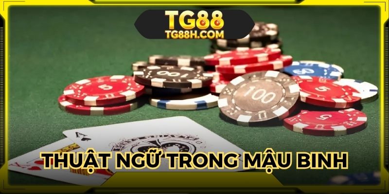 Người tham gia cần hiểu rõ ý nghĩa của từng thuật ngữ