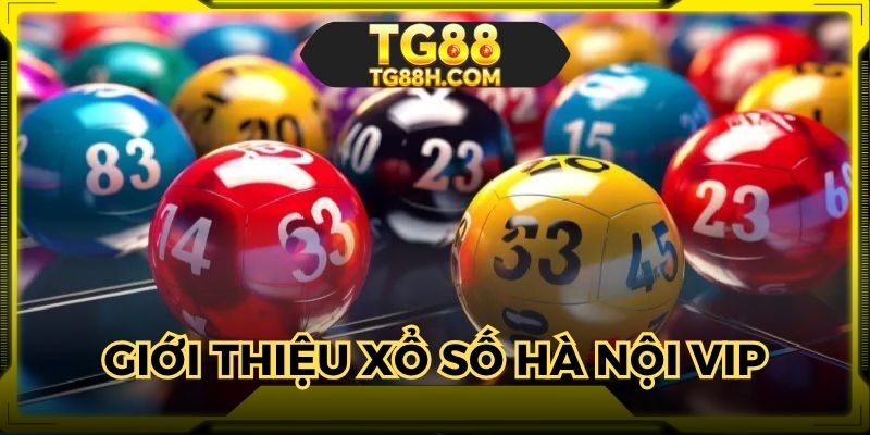 Dòng xổ số Hà Nội vip tạo nên sự khác biệt rõ rệt