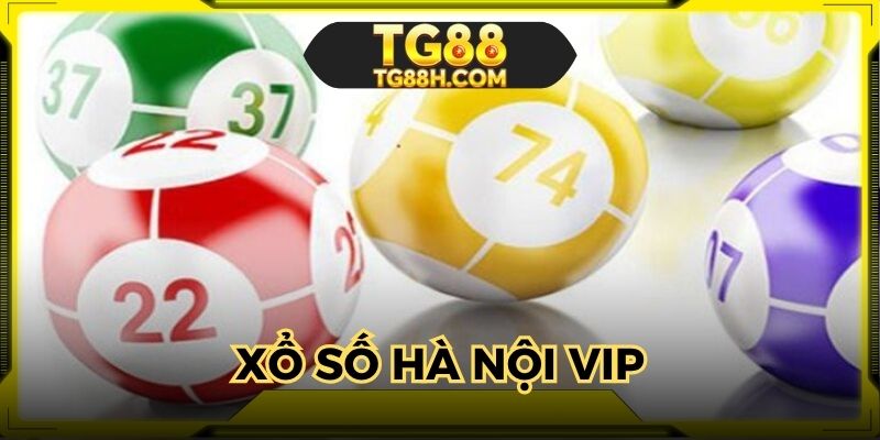 xo-so-ha-noi-vip-bi-kip-soi-de-dem-ve-phan-thuong-cao